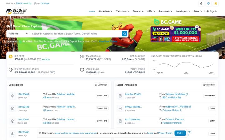 Captură de ecran a bscscan.com