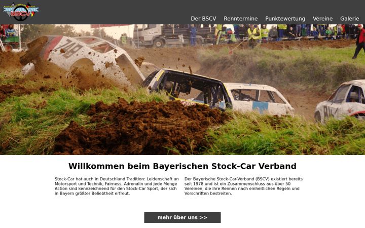 Screenshot of bscv.de