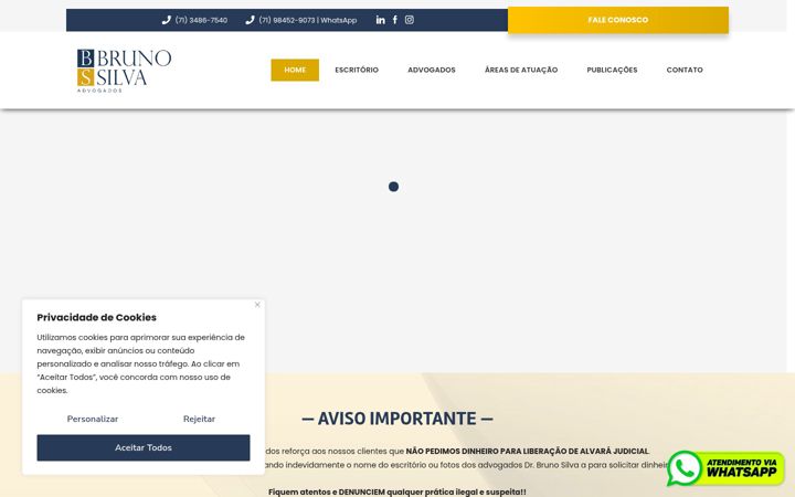 Screenshot of bsesadv.com.br