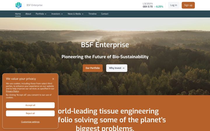 Screenshot of bsfenterprise.com
