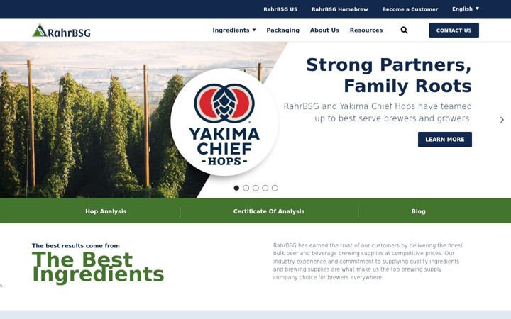 Screenshot of bsgcanada.com