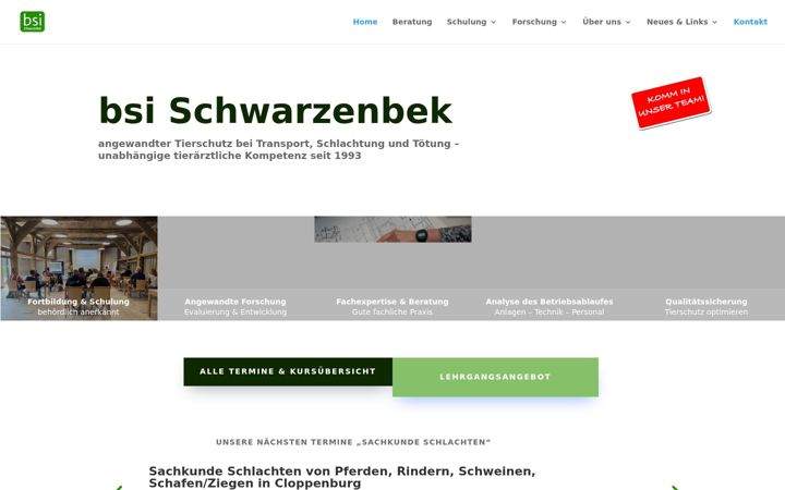 Screenshot of bsi-schwarzenbek.de