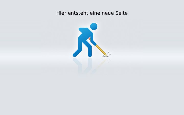 Screenshot ta' bsm-salterberg.de