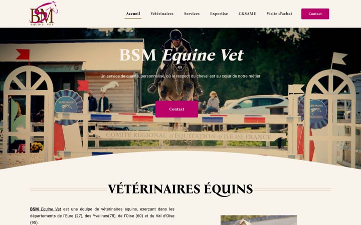 Screenshot του bsmequinevet.fr
