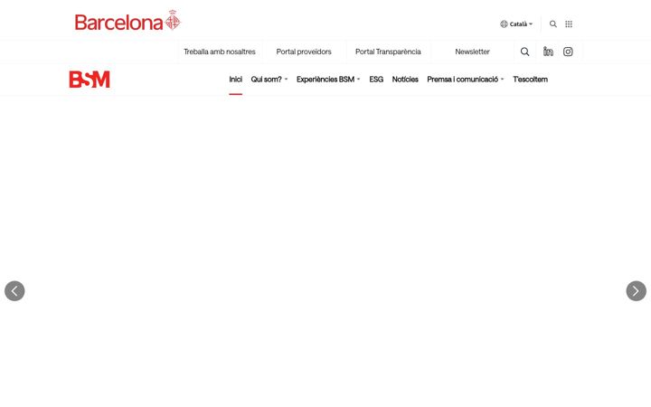 Screenshot of bsmsa.cat