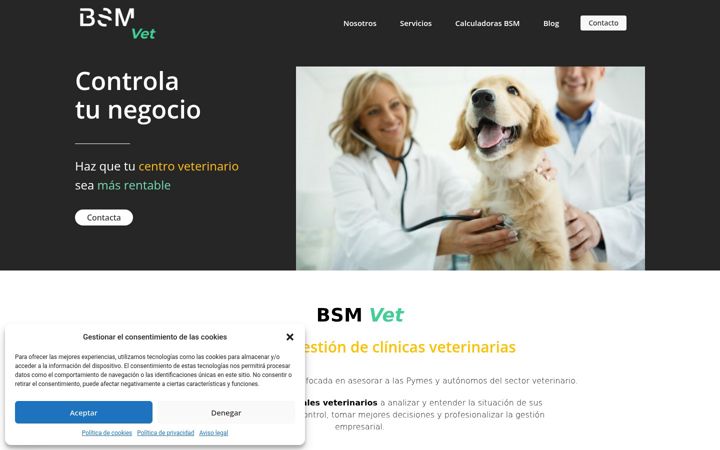 Screenshot of bsmvet.es
