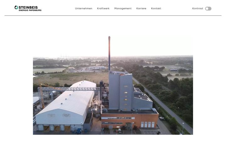 Screenshot of bsp-energie.de