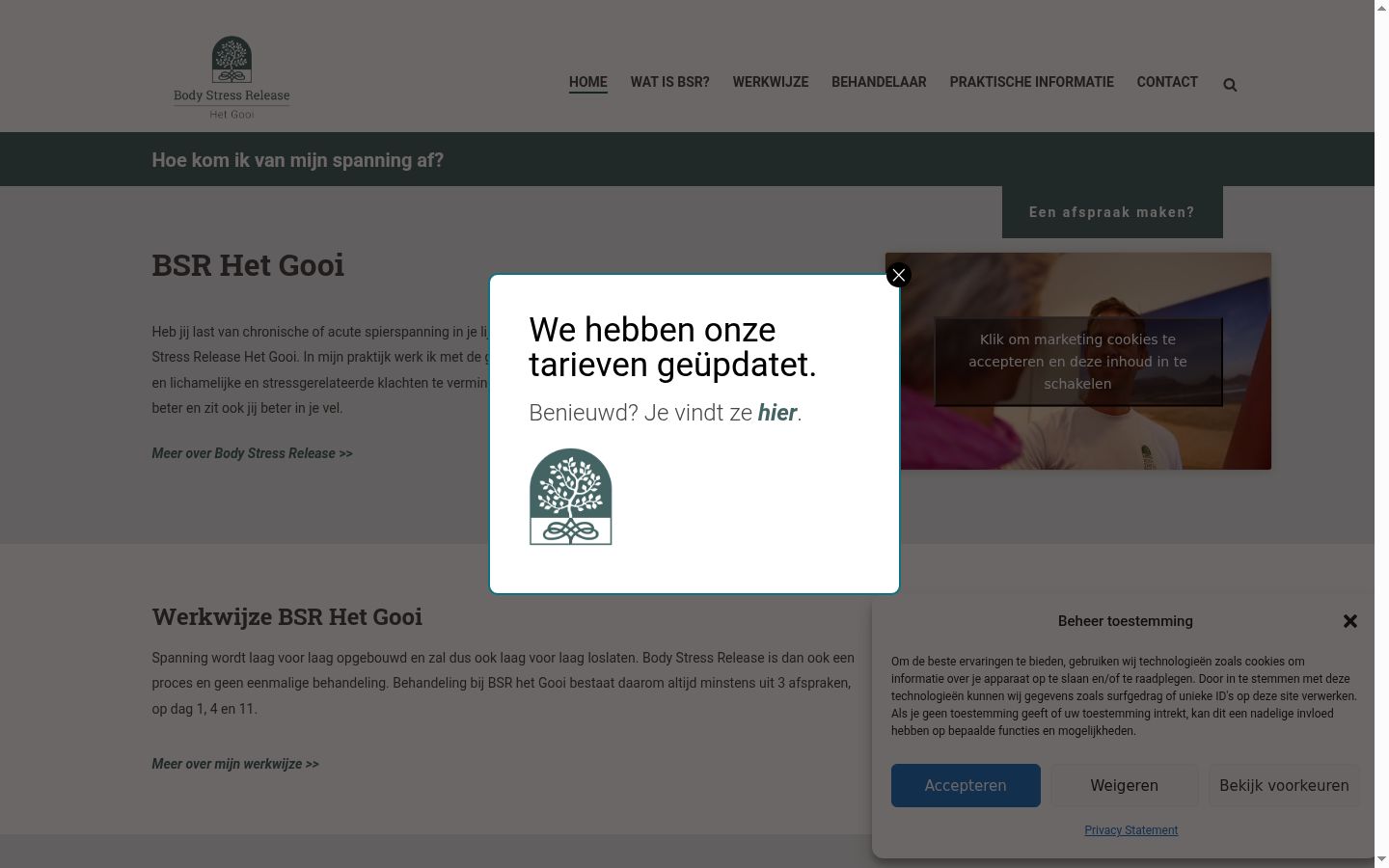 Skærmbillede af samtykkebanneret, som det blev vist før nogen interaktion