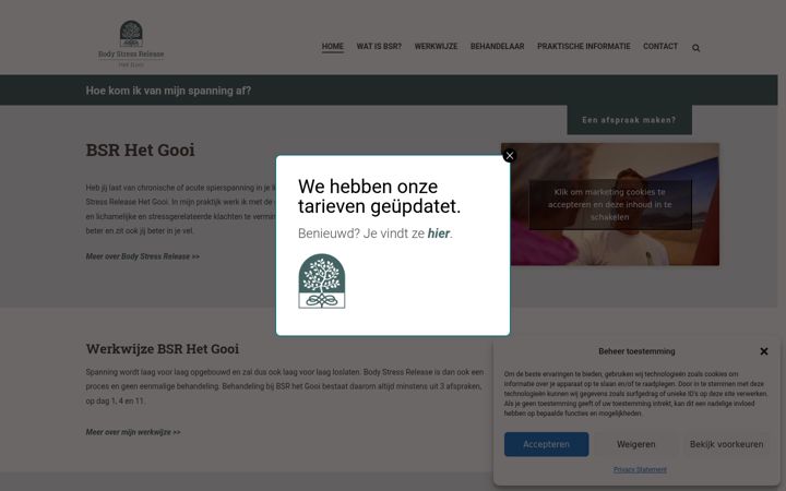 Screenshot of bsrhetgooi.nl