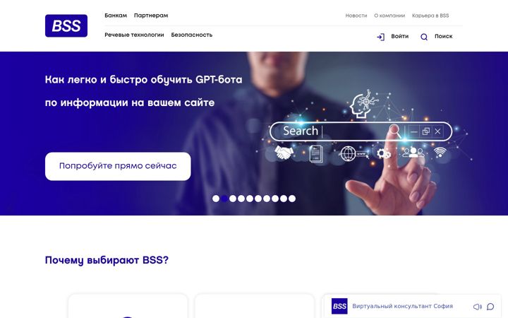Screenshot of bssys.com