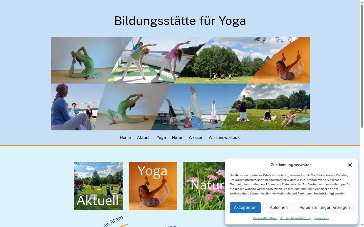 Skärmbild av samtyckesbannern som visades före någon interaktion