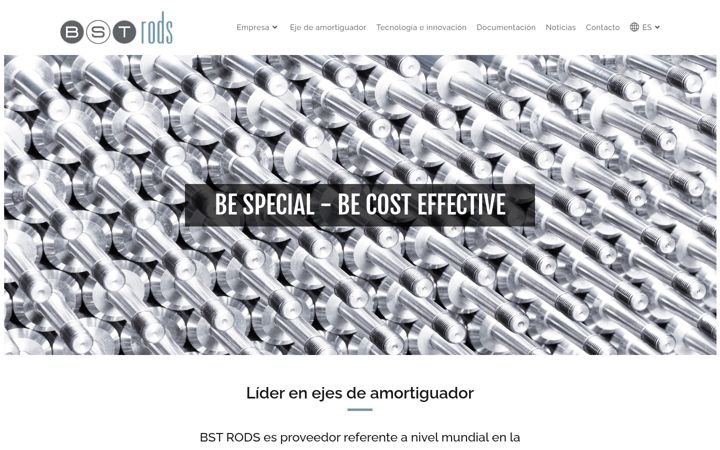 Screenshot of bstrods.com