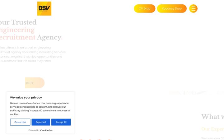 Screenshot of bsvrecruitment.co.uk