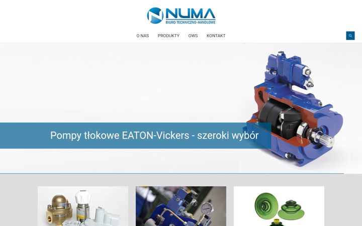 Screenshot of bthnuma.pl