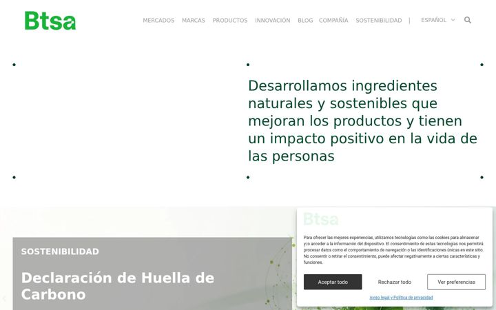 Screenshot of btsa.com