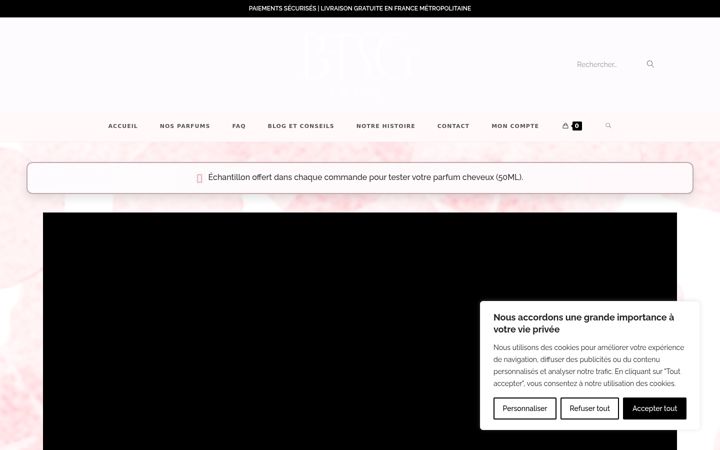 Screenshot of btsg-paris.com
