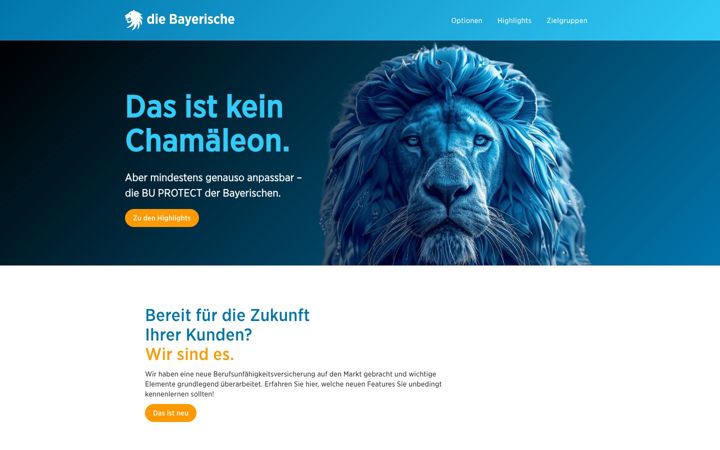 Posnetek zaslona bu-protect.de