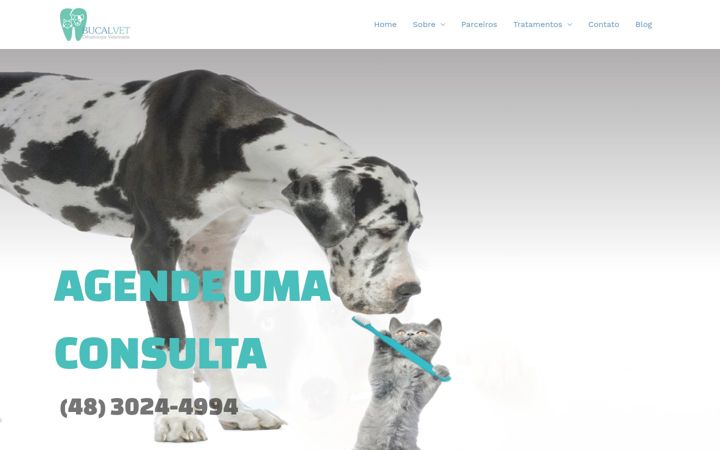 Screenshot of bucalvet.com.br