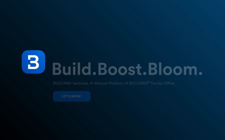 Screenshot of buccara-ventures.com