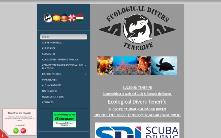 Screenshot of buceo-tenerife.es