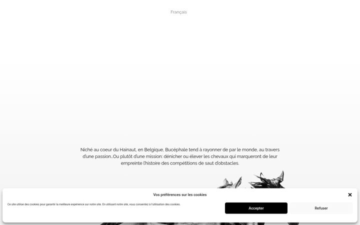 Képernyőkép: bucephale.be