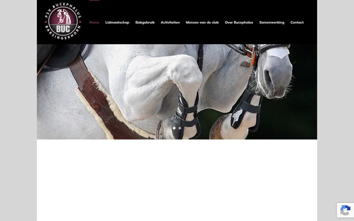 Screenshot of bucephalus.nl