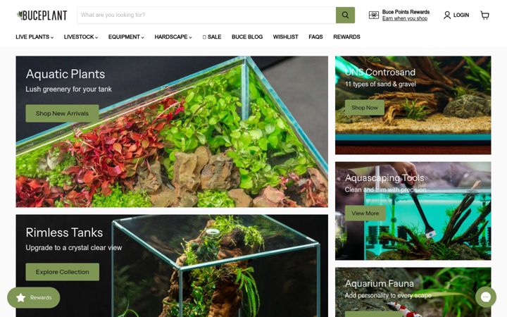 Screenshot di buceplant.com