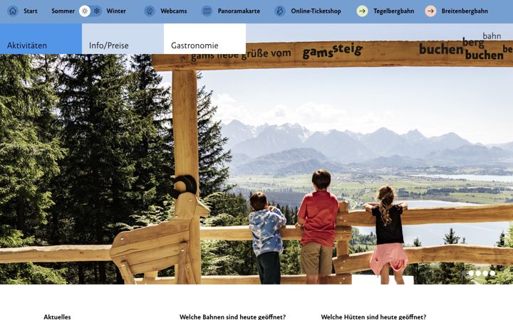 Screenshot of buchenbergbahn.de