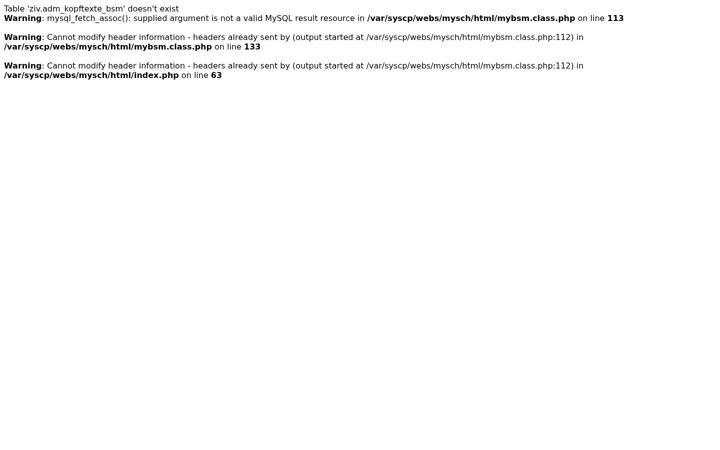 Screenshot of bucher-schornsteinfeger.de
