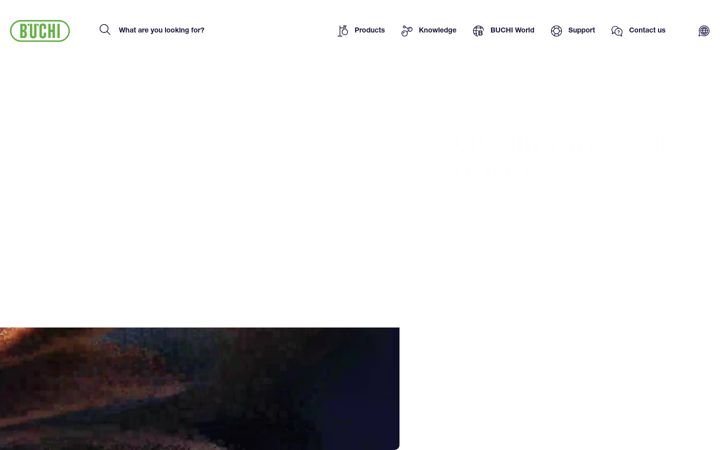Screenshot di buchi.com