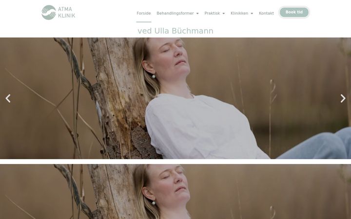 Screenshot of buchmannkiropraktik.dk
