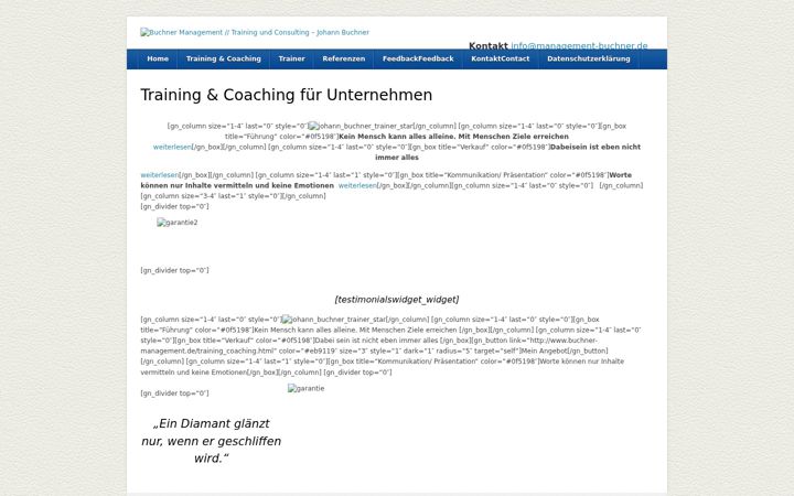 Screenshot of buchner-management.de