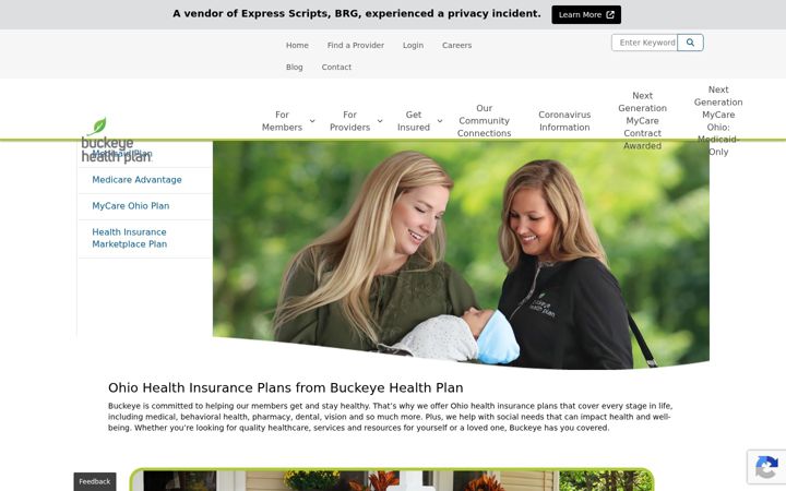 Screenshot of buckeyehealthplan.com