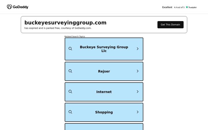 Screenshot of buckeyesurveyinggroup.com
