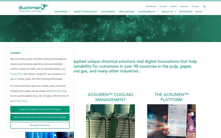 Screenshot of buckman.com
