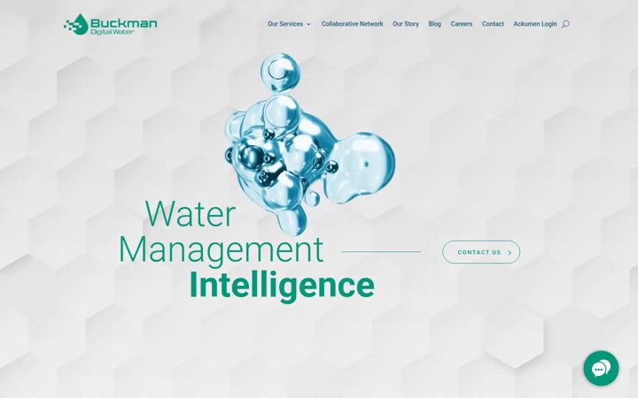Screenshot of buckmandigitalwater.com