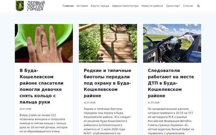 Screenshot of buda-koshelevo.net