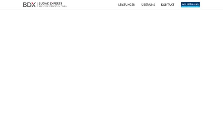 Skärmbild av budak-experts.de