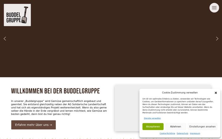 Skärmbild av buddelgruppe.de