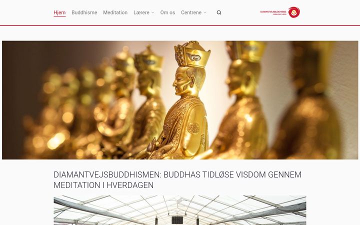 Screenshot of buddha.dk