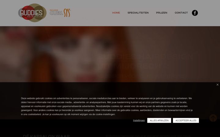 Snímek obrazovky buddieshairdesign.nl
