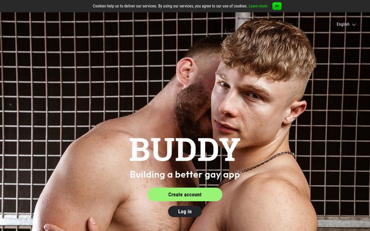 Screenshot of buddy.net