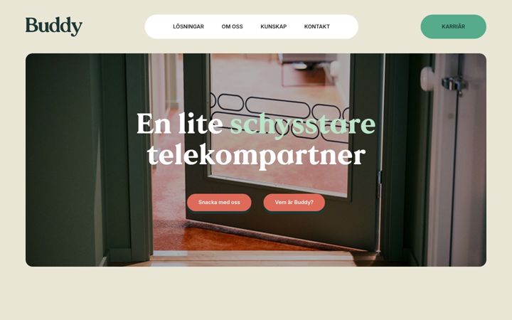 Screenshot of buddy.se