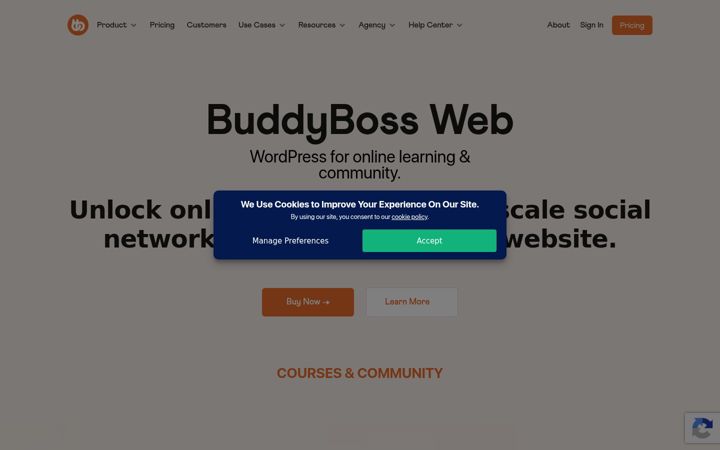 Screenshot of buddyboss.com