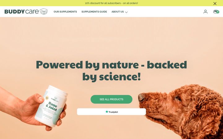 Screenshot of buddycare.com