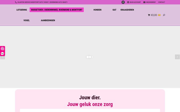 Zrzut ekranu budgetdier.nl