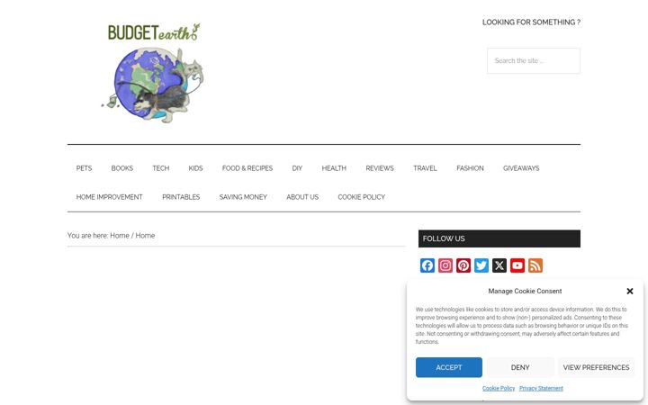 Screenshot of budgetearth.com