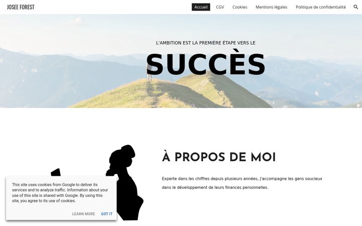 Screenshot of budgetharmonieux.com