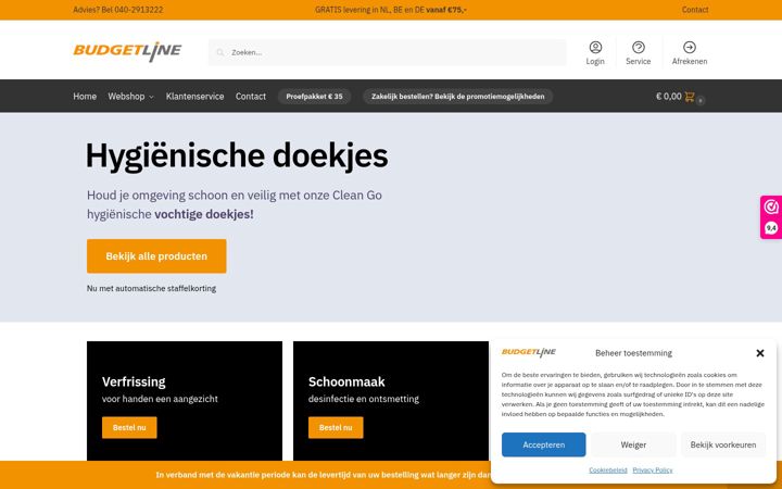 Zrzut ekranu budgetline.nl