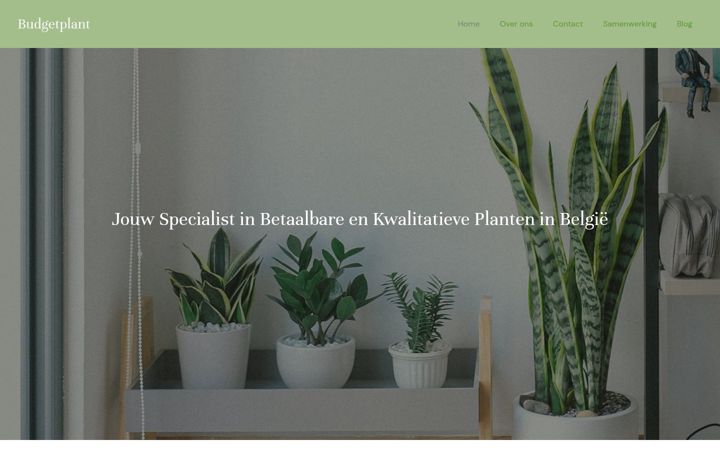 Zrzut ekranu budgetplant.be